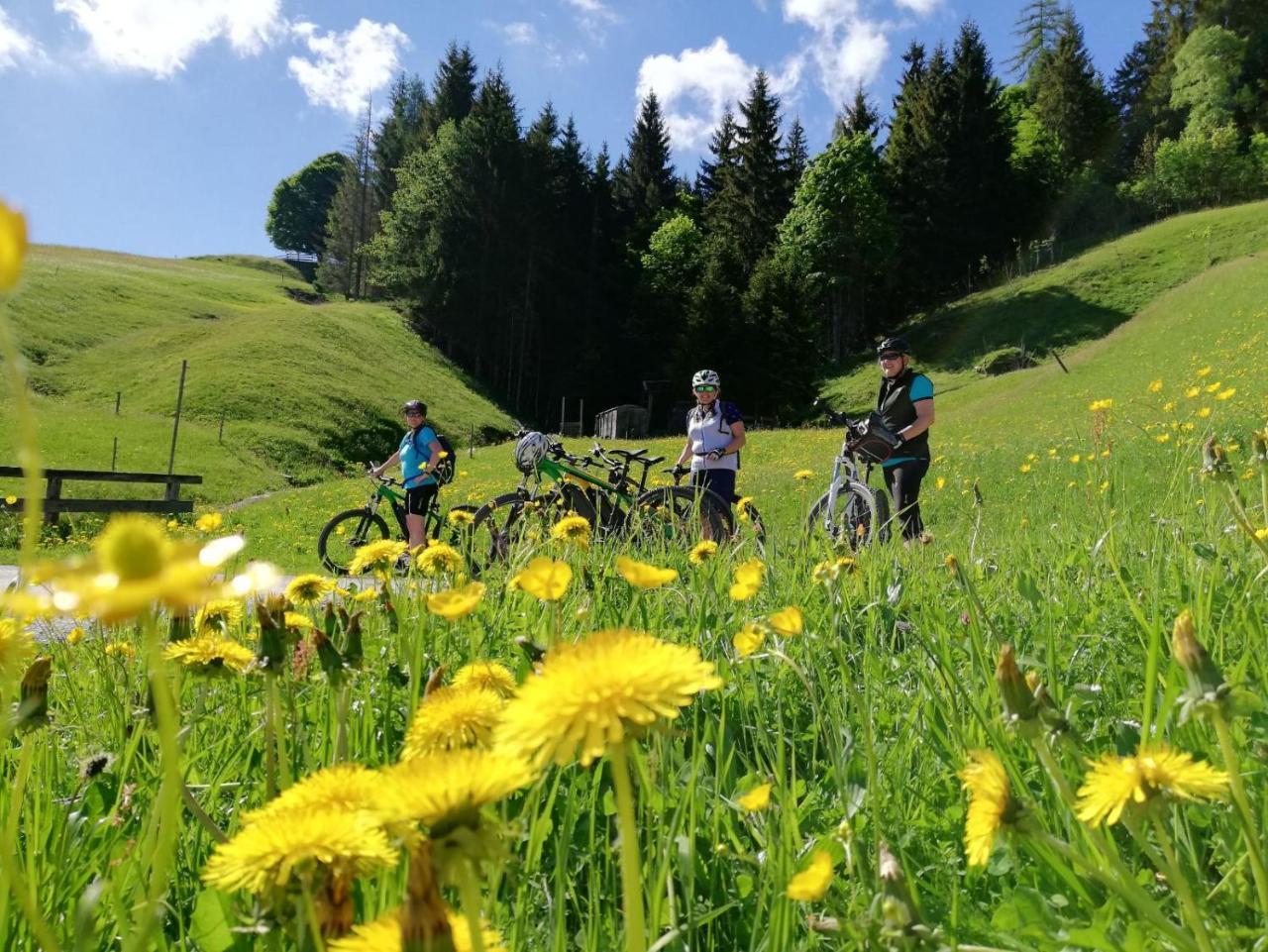 Pension Edelweiss Breitenbach am Inn Luaran gambar