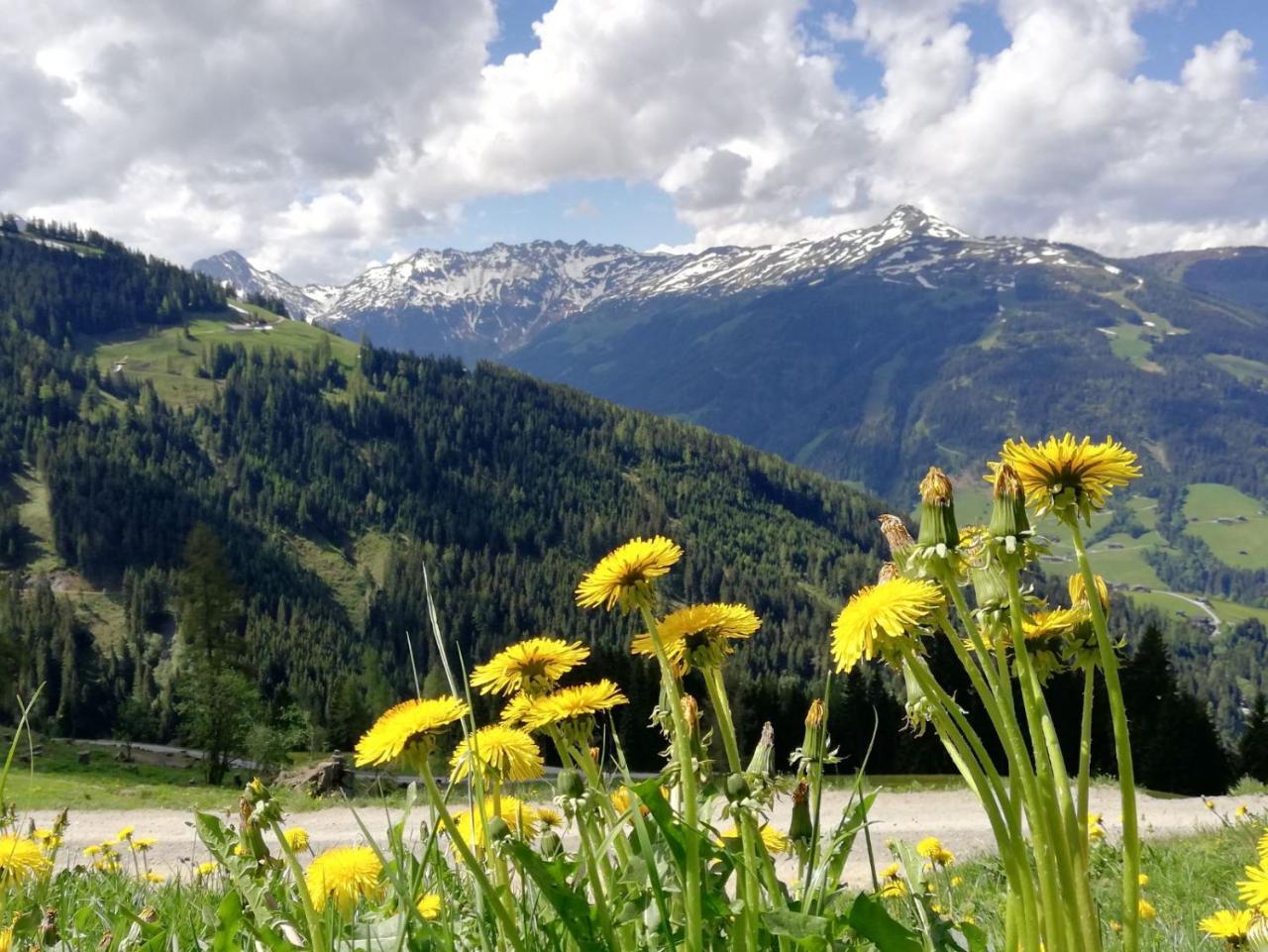 Pension Edelweiss Breitenbach am Inn Luaran gambar